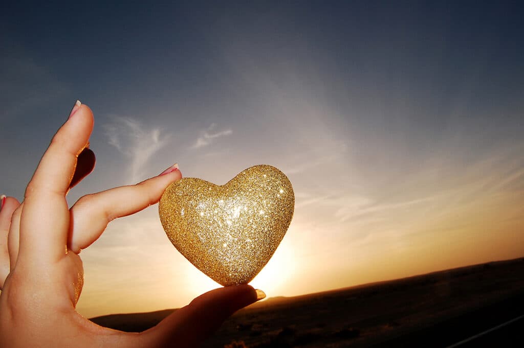 סדנת צילום לפנויים ולפנויות בחיק הטבע